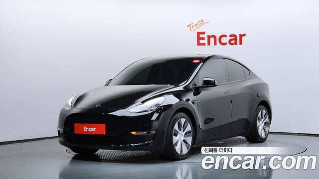 Tesla Model Y Long Range AWD - фото 0