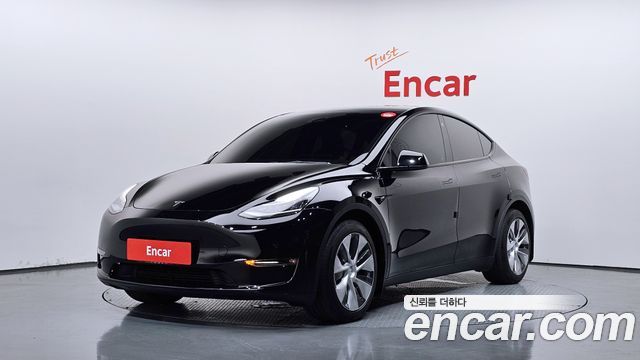 Tesla Model Y Long Range AWD - фото 0
