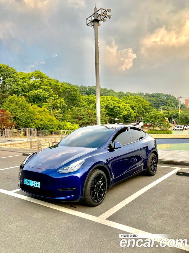 Tesla Model Y Standard Range RWD - фото 0