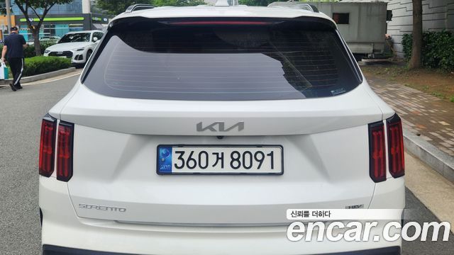  Sorento