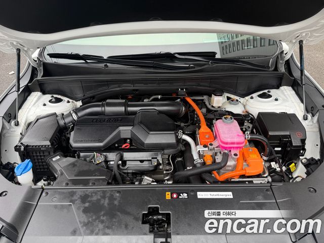  Sorento