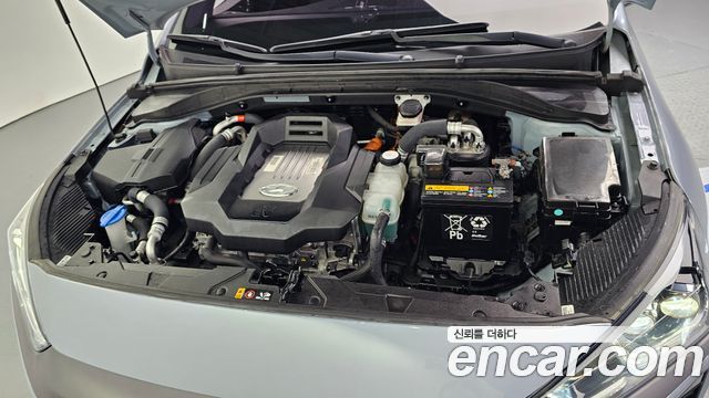 Hyundai Ioniq Electric Q - фото 4
