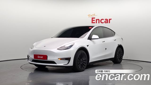 Tesla Model Y Long Range AWD - фото 0