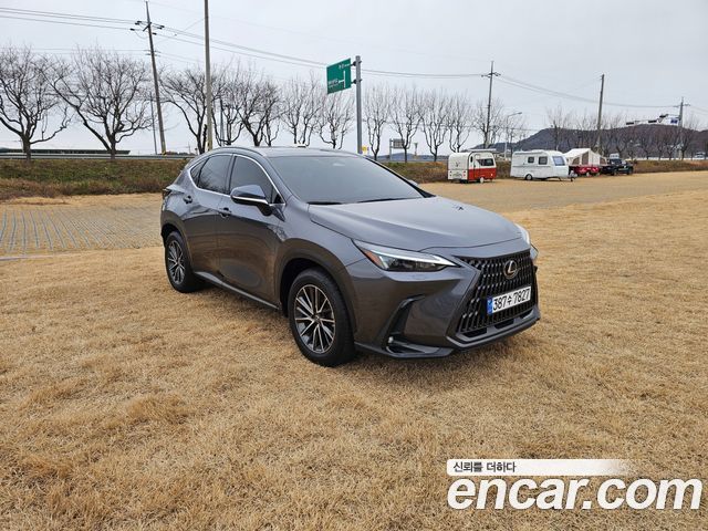 Lexus NX 2-го поколения Premium - фото 0