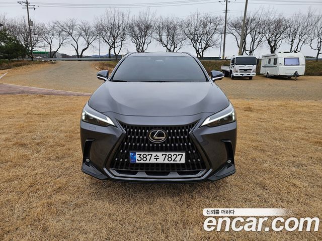 Lexus NX 2-го поколения Premium - фото 1