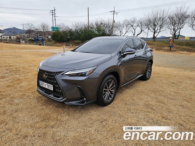 Lexus NX 2-го поколения Premium - фото 2