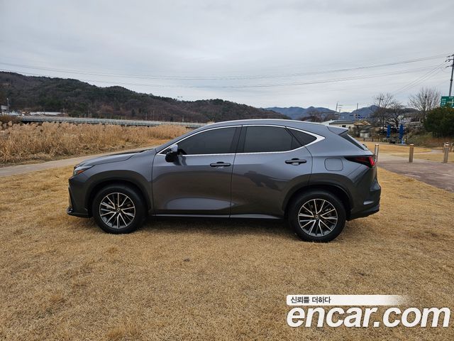 Lexus NX 2-го поколения Premium - фото 3
