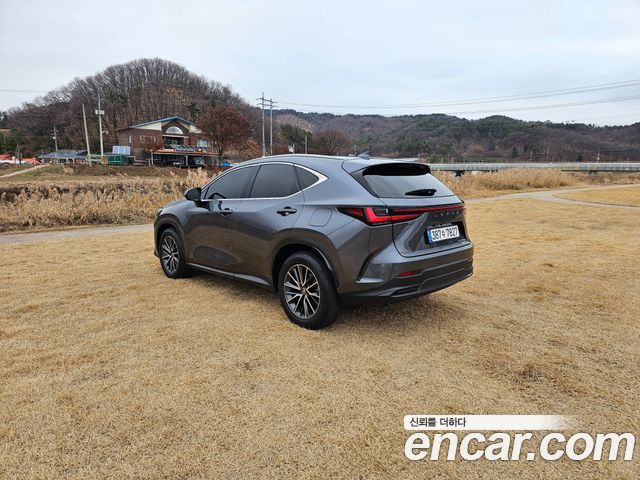 Lexus NX 2-го поколения Premium - фото 4