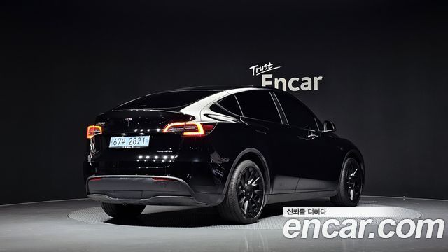 Tesla Model Y Long Range AWD - фото 0