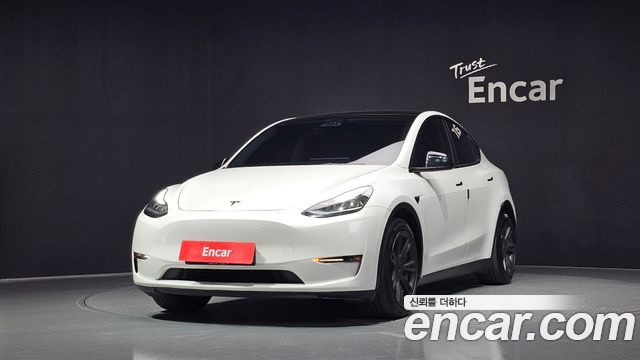 Tesla Model Y Long Range AWD - фото 0