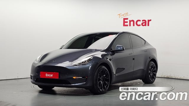 Tesla Model Y Long Range AWD - фото 0