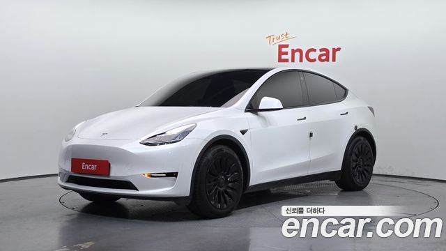 Tesla Model Y Long Range AWD - фото 0