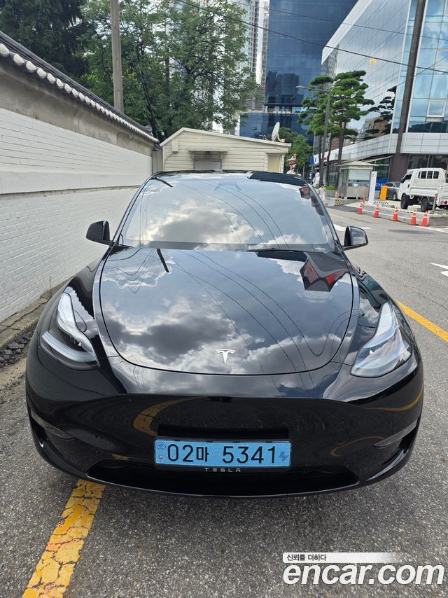 Tesla Model Y Long Range AWD - фото 0