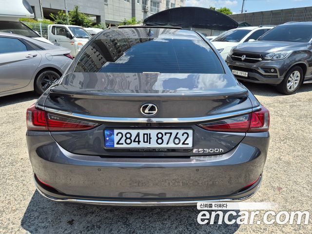 Lexus ES 7-го поколения F-Sport - фото 4