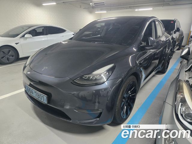 Tesla Model Y Long Range AWD - фото 0