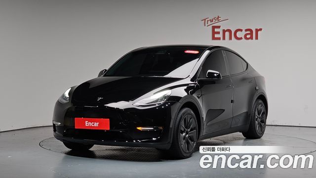 Tesla Model Y Long Range AWD - фото 0