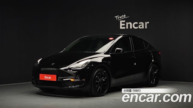 Tesla Model Y Long Range AWD - фото 0