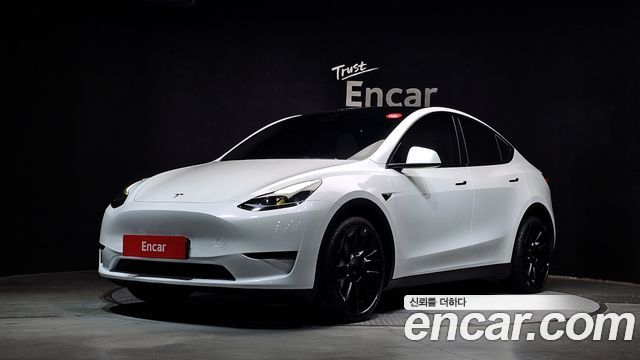 Tesla Model Y Long Range AWD - фото 0