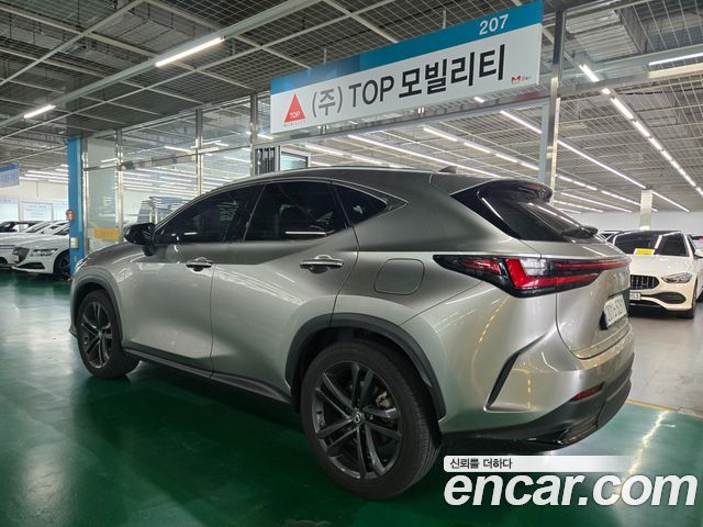 Lexus NX 2-го поколения Premium - фото 1