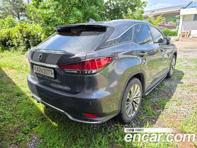 Lexus RX 450h 4-го поколения Executive - фото 3