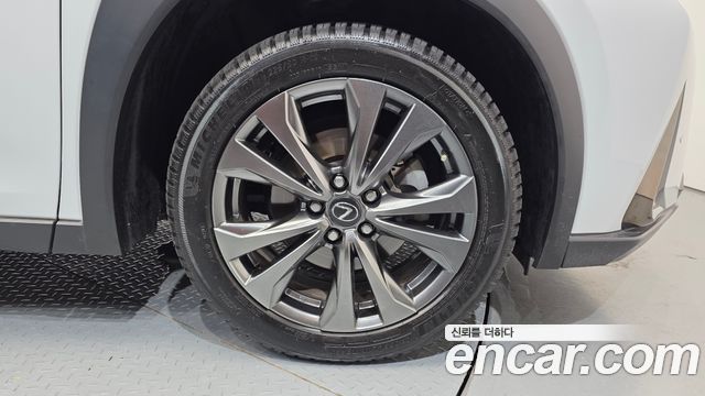 Lexus UX 250h 2.0 F-Sport 2WD - фото 4