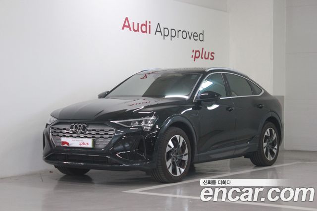 Audi Q8 e-tron GE 55 Quattro Sportback - фото 0