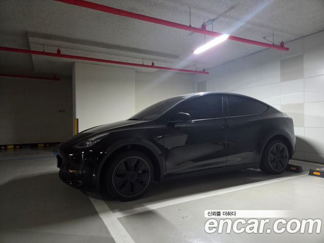 Tesla Model Y Long Range AWD - фото 0
