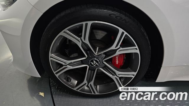 Kia Stinger 2.0 Turbo 2WD Platinum - фото 4