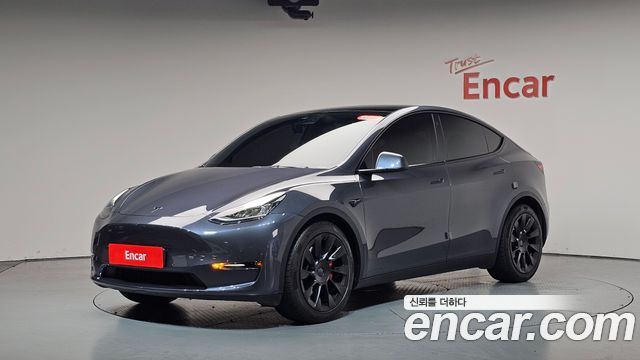 Tesla Model Y Long Range AWD - фото 0