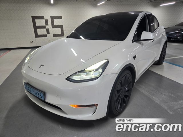 Tesla Model Y Performance AWD - фото 0