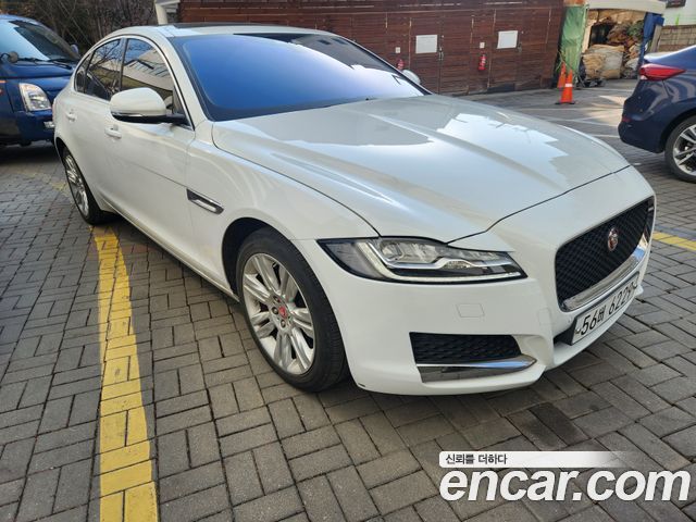 Jaguar XF X260 25t Portfolio - фото 2