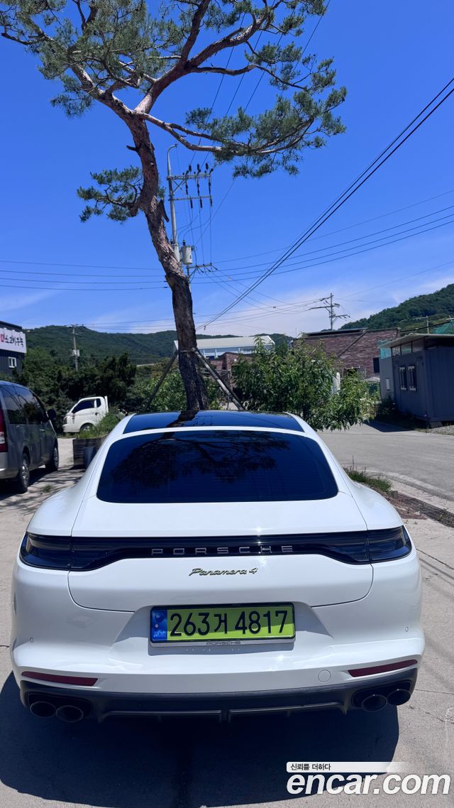 Porsche Panamera 2.9 AWD E-Hybrid Platinum Edition - фото 4