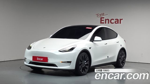 Tesla Model Y Performance AWD - фото 0