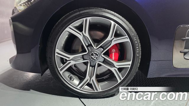 Kia Stinger 2.0 Turbo 2WD Platinum - фото 4