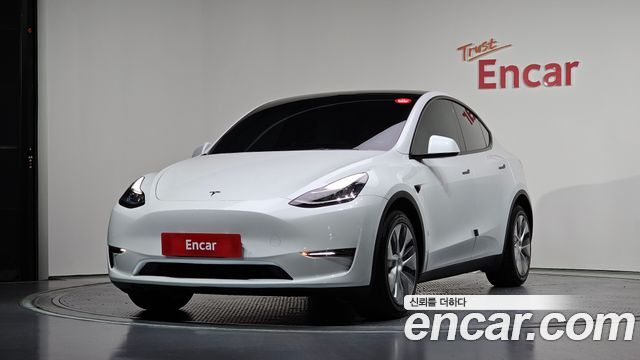 Tesla Model Y Long Range AWD - фото 0