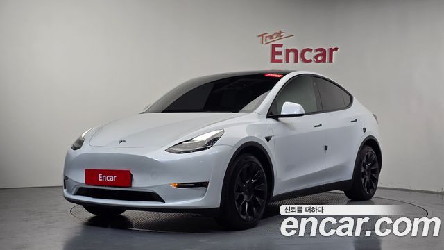 Tesla Model Y Long Range AWD - фото 0