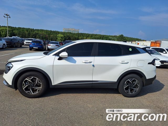 Kia Sportage 5-го поколения Gasoline 1.6 Turbo 2WD Trendy - фото 3
