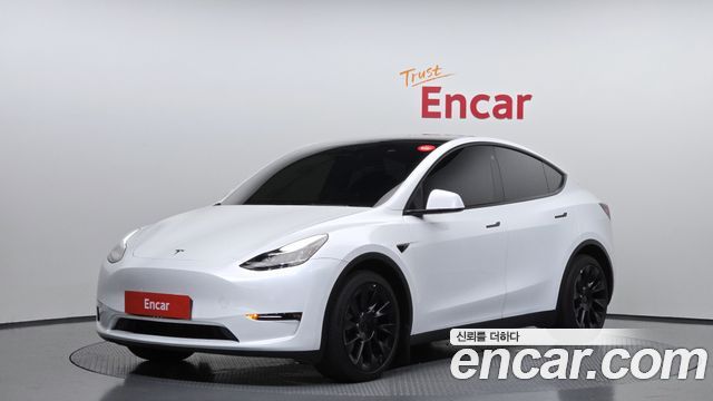 Tesla Model Y Long Range AWD - фото 0