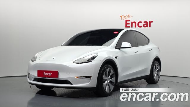 Tesla Model Y Long Range AWD - фото 0