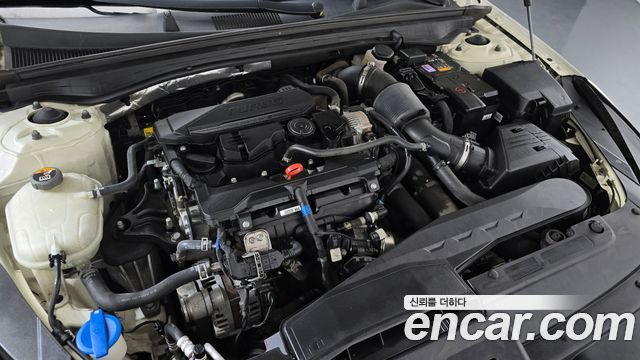 Kia K5 3-го поколения 1.6 Turbo Signature - фото 4