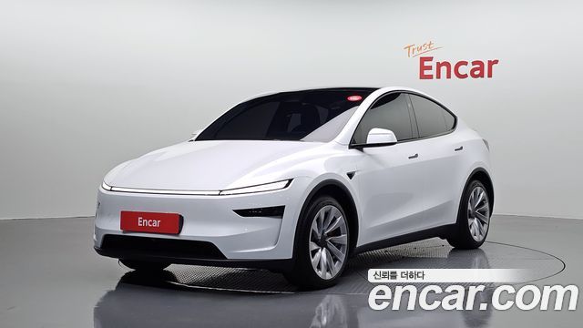 Tesla Model Y Long Range AWD - фото 0