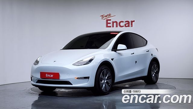 Tesla Model Y Long Range AWD - фото 0