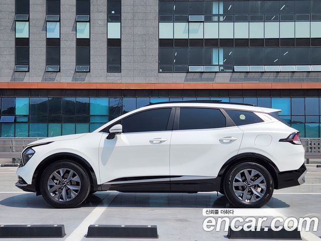 Kia Sportage 5-го поколения Gasoline 1.6 Turbo 2WD Signature - фото 3