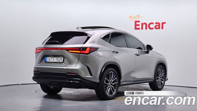 Lexus NX 2-го поколения Luxury - фото 1