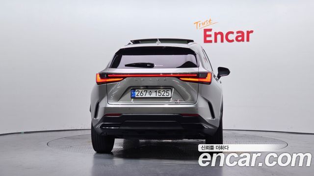 Lexus NX 2-го поколения Luxury - фото 3