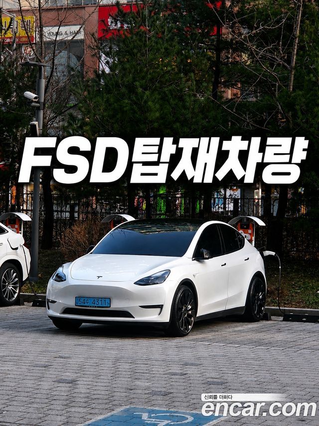 Tesla Model Y Performance AWD - фото 0