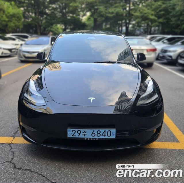 Tesla Model Y Long Range AWD - фото 0