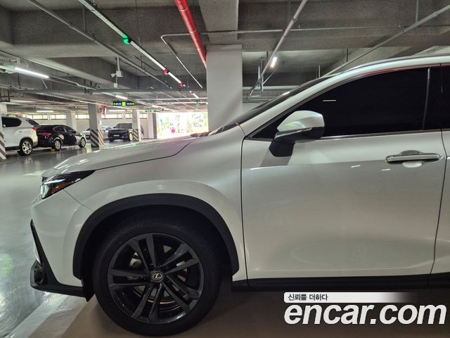 Lexus NX 350h 2-го поколения Premium - фото 1