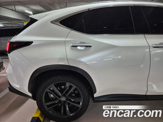 Lexus NX 350h 2-го поколения Premium - фото 3