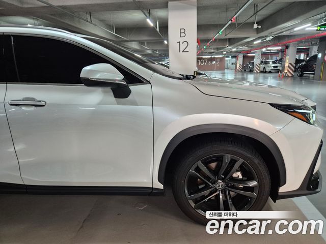 Lexus NX 350h 2-го поколения Premium - фото 4